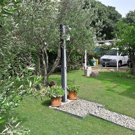Rotiroti