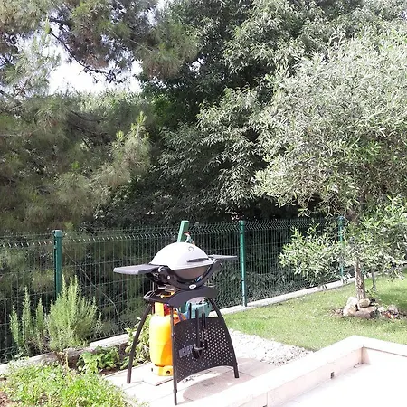 Rotiroti 자다르