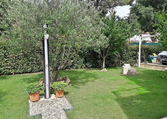 Rotiroti * זאדאר